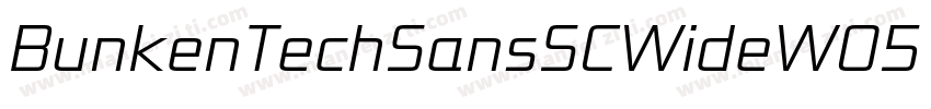 BunkenTechSansSCWideW05 SB Regular字体转换